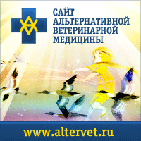 Причины симптоматика и особенности лечения аллергического псориаза